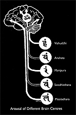5 Tantric Brain centers related to the Chakras